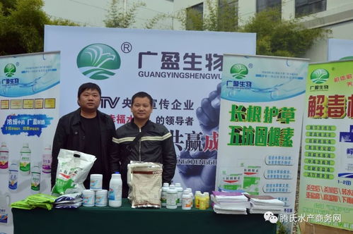 近600人參會大部分是經(jīng)銷商,榮譽和掌聲屬于他們