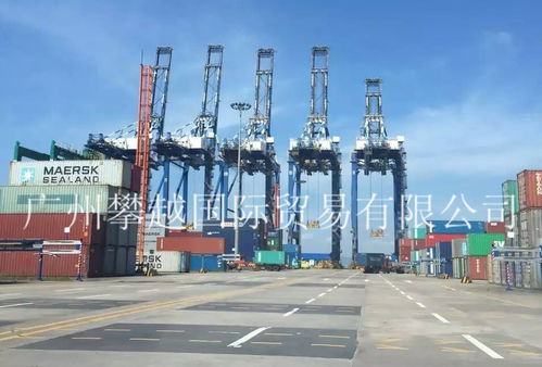 越南限制洋垃圾進口，化妝品批發業務面臨挑戰