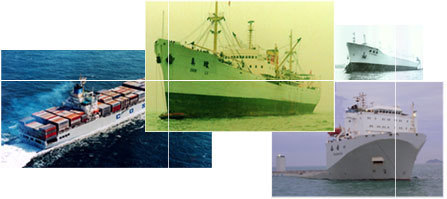 化妝品批發商如何選擇上海到東莞國內海運運輸公司——以深圳市恒洋物流東莞分公司為例